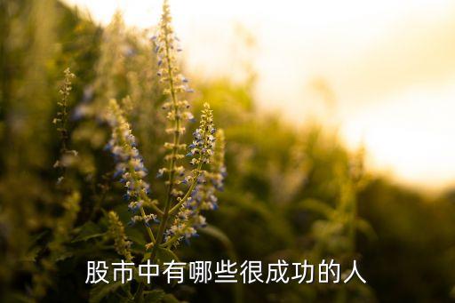 股市中有哪些很成功的人