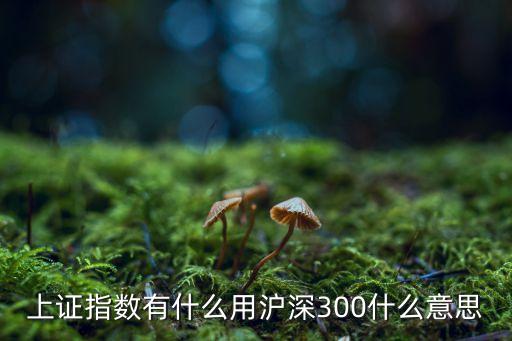 上证指数有什么用沪深300什么意思