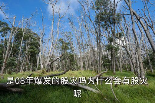 是08年爆发的股灾吗为什么会有股灾呢