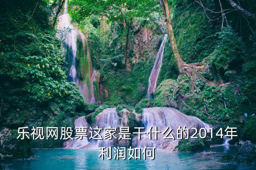 乐视网股票有什么用处，为什么还有人买乐视的股票