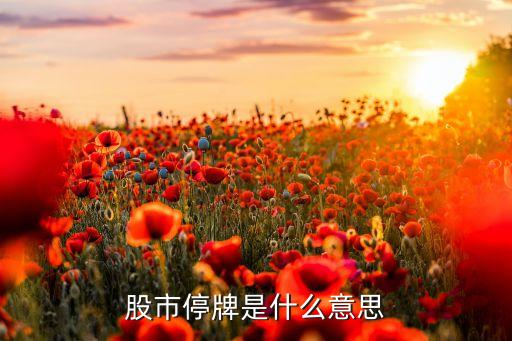 股市停牌是什么意思