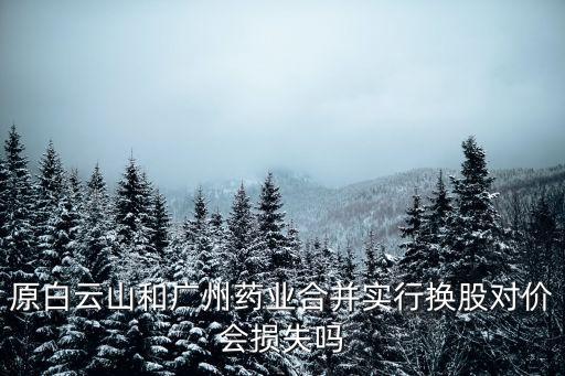 原白云山和广州药业合并实行换股对价会损失吗