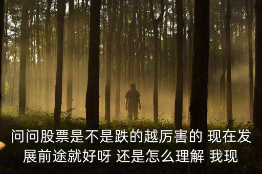 问问股票是不是跌的越厉害的 现在发展前途就好呀 还是怎么理解 我现