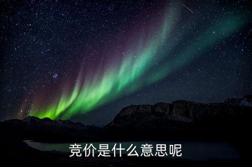 竞价是什么意思呢