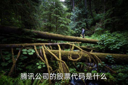 腾讯美国股票名称是什么，腾讯公司的股票代码是什么