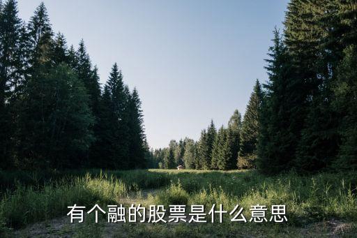 带融字的股票是什么意思，股票前面有个融字啥意思