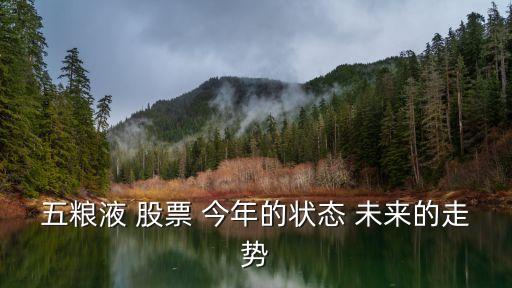 五粮液 股票 今年的状态 未来的走势