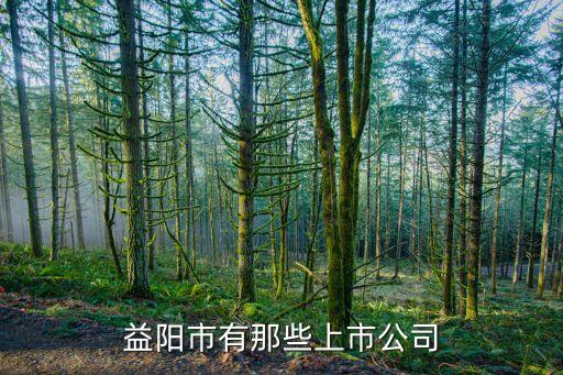 益阳市有那些上市公司