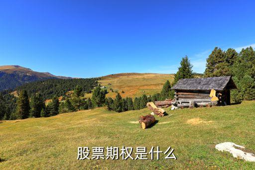 股票期权是什么