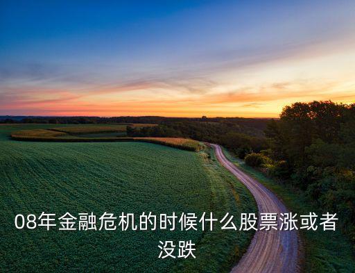 金融危机什么股票在涨呢，08年金融危机的时候什么股票涨或者没跌
