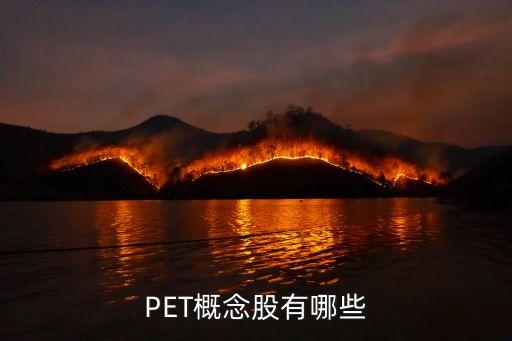 PET概念股有哪些