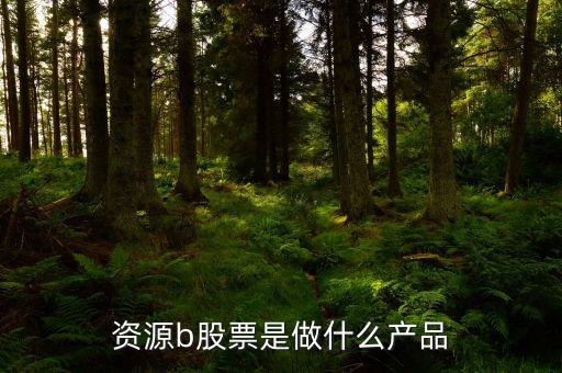 资源b股票是做什么产品