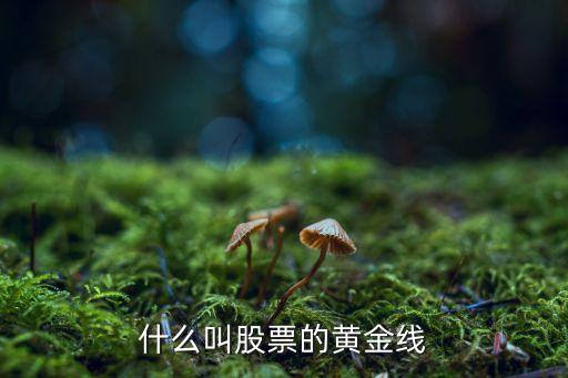 股票处于黄金区是什么意思，股票中金价位置指的什么位置