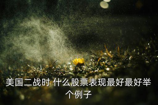 二战期间什么股票涨得厉害，每次在历史底部时什么股票涨的最好