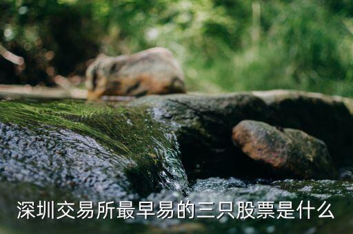 深圳交易所股票叫什么名字，银行股哪个是深圳交易所的