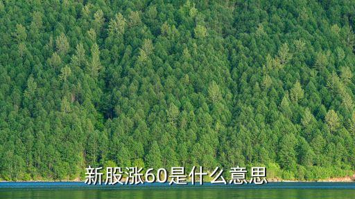 为什么股票会涨60个点，股票为什么会涨什么原因使他涨的