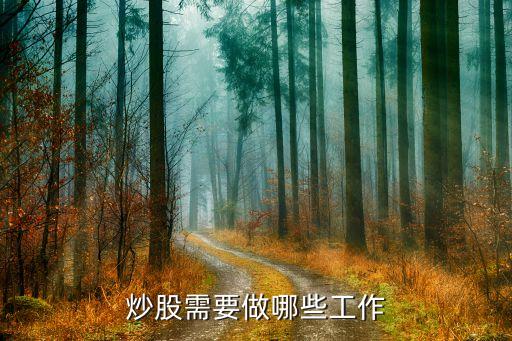 现在的股票市场需要什么，炒股需要做哪些工作