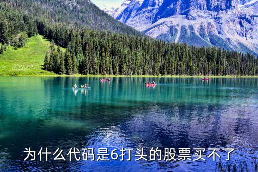 为什么代码是6打头的股票买不了