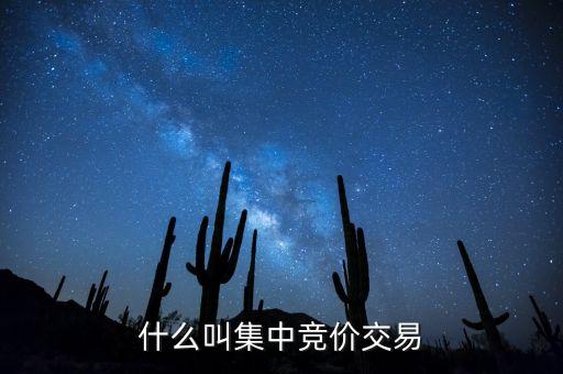 什么叫集中竞价交易