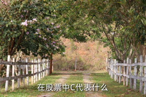 在股票中C代表什么