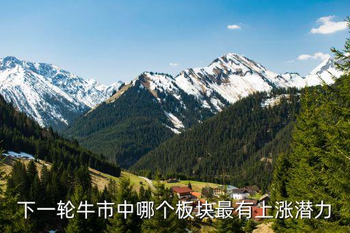 下一轮牛市中哪个板块最有上涨潜力