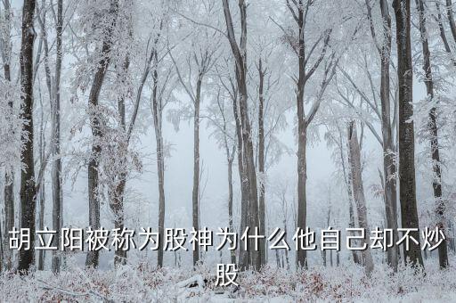 股神为什么不让自己买股票，胡立阳被称为股神为什么他自己却不炒股
