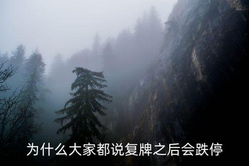 为什么股票复牌后都是跌停，贵人鸟复牌后为什么一直跌停