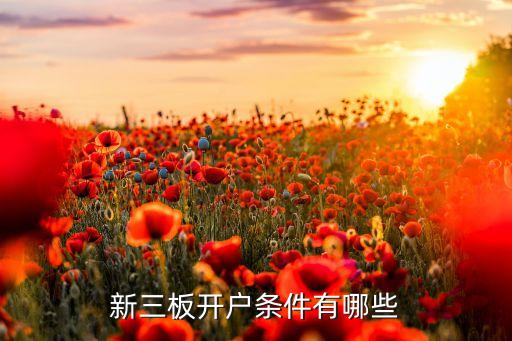新三板开户条件有哪些