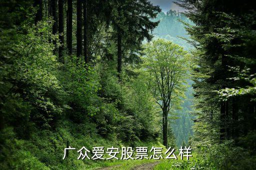 广众爱安股票怎么样