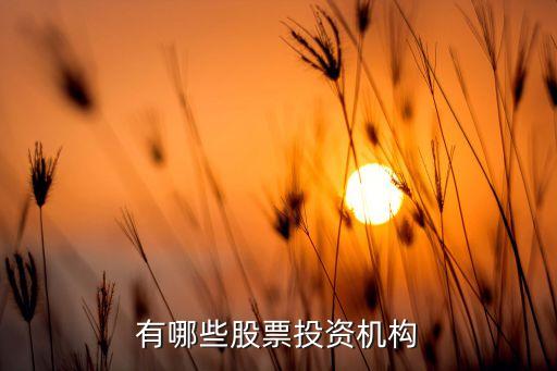 有哪些股票投资机构