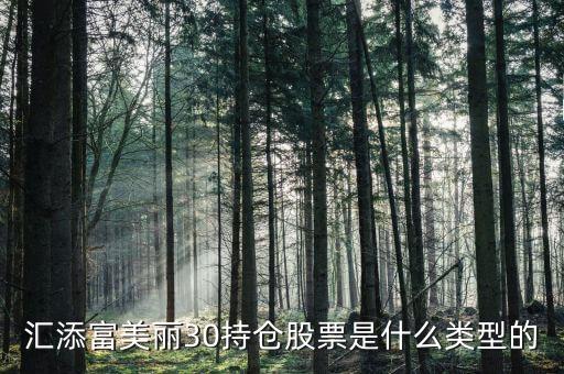 汇添富美丽30持仓股票是什么类型的