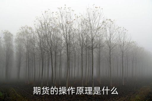 期货的操作原理是什么