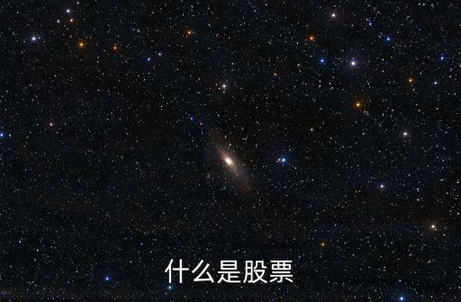 什么是股票