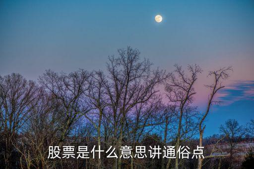 股票是什么意思讲通俗点