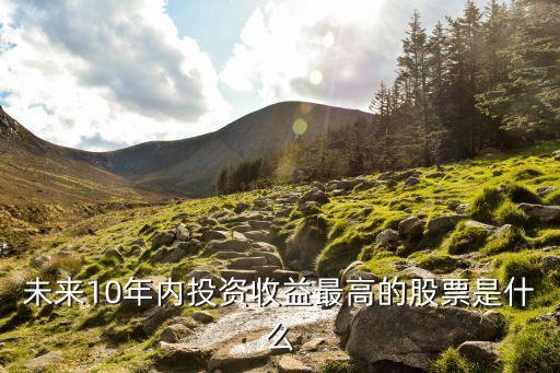 未来10年内投资收益最高的股票是什么