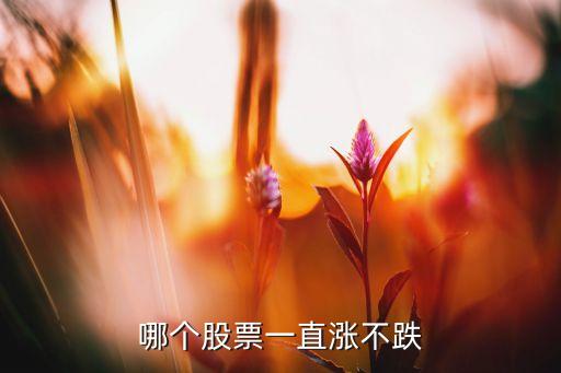 什么股票不会一直上涨下跌，世界上有没有只跌不涨的股票