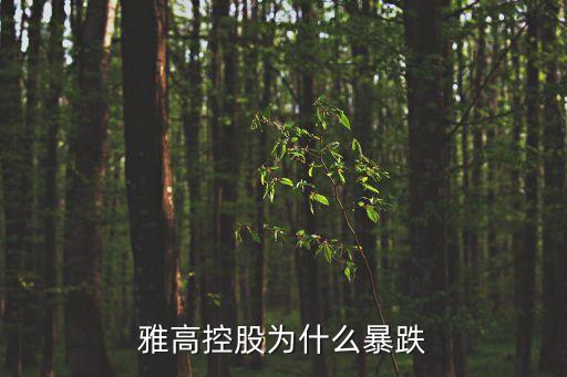 雅高控股为什么暴跌