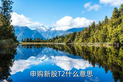 申购新股T2什么意思