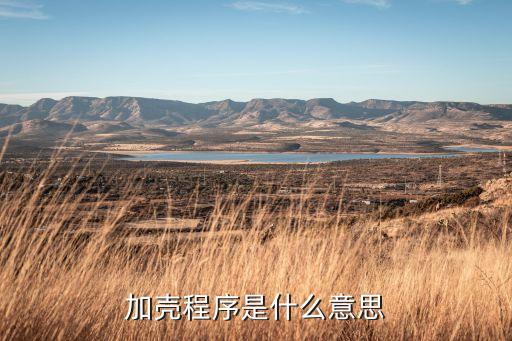股票软件加壳什么意思，请问软件加壳是什么意思啊