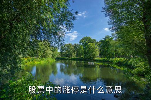股票中的涨停是什么意思