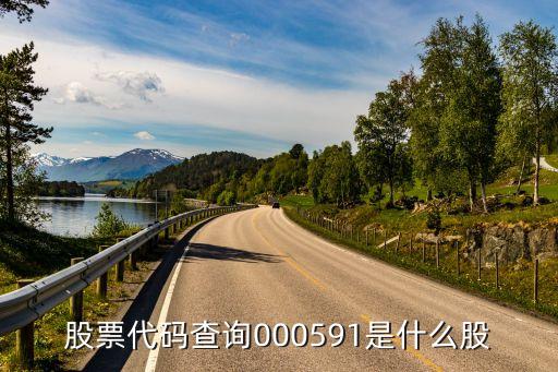 股票代码查询000591是什么股