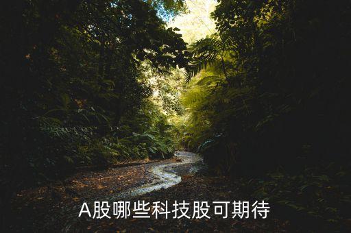 A股哪些科技股可期待