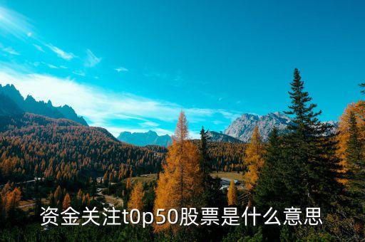 资金关注t0p50股票是什么意思