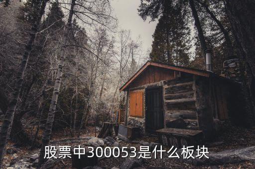 股票中300053是什么板块