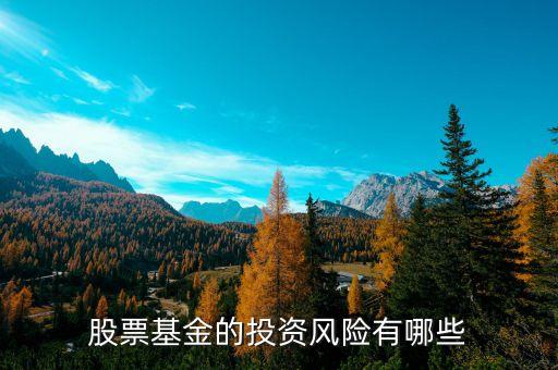 股票基金的投资风险有哪些