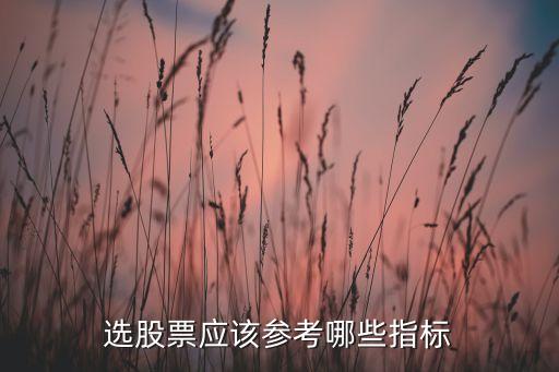 选股票应该参考哪些指标