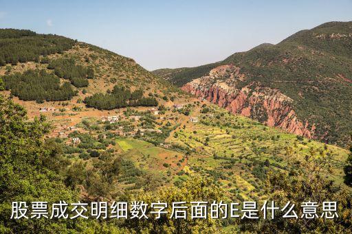 股票里2023e什么意思，股票成交明细数字后面的E是什么意思