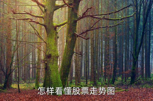 怎样看懂股票走势图