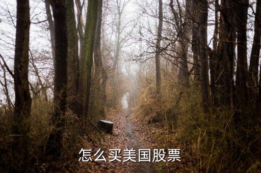 日本人到美国买什么股票，二战后日本四大财团的股份很大部分股份都在美国人手中也就是