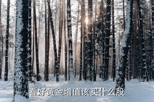 看好黄金增值该买什么股